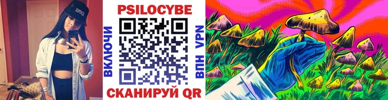 kraken ссылки  как найти закладки  это какой сайт  Галлюциногенные грибы мицелий  Челябинск 